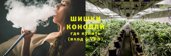 прущая мука Бородино