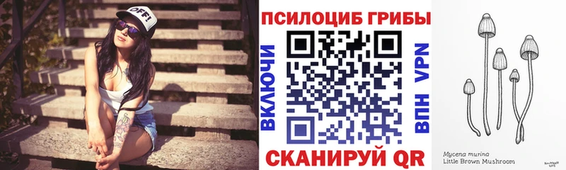 Купить где  Кандалакша  Псилоцибиновые грибы Cubensis 